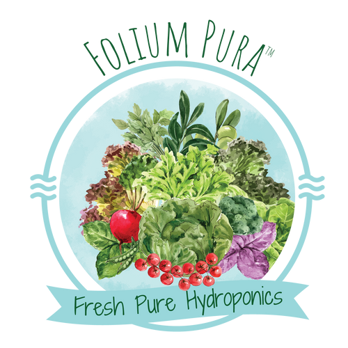 Folium Pura Hydroponics Farm - Ahmedabad, Pesticide-free veggies, leafy greens, fresh herbs home delivery in Ahmedabad